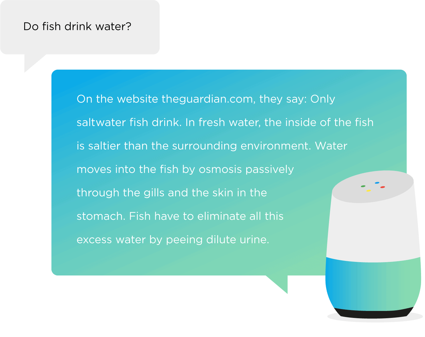 Google Home – Question/Answer