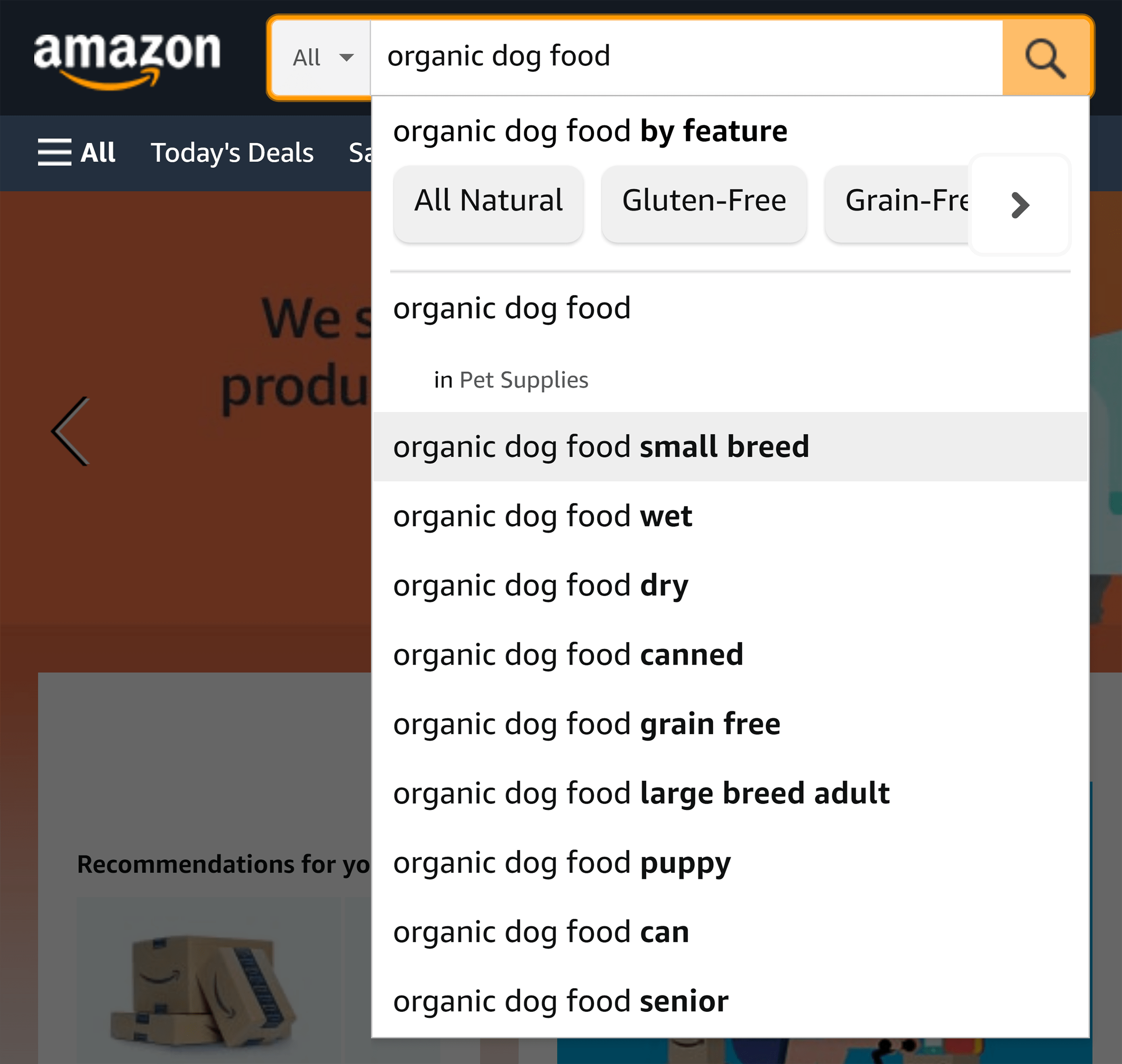 Amazon search – Organic dog food