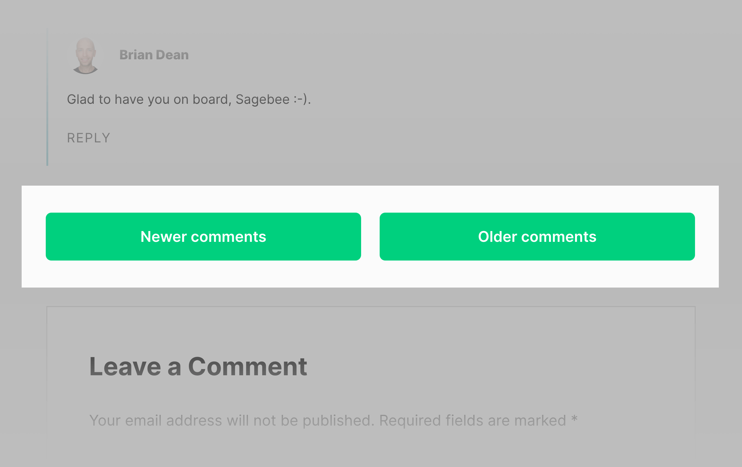 Backlinko – Paginated comments