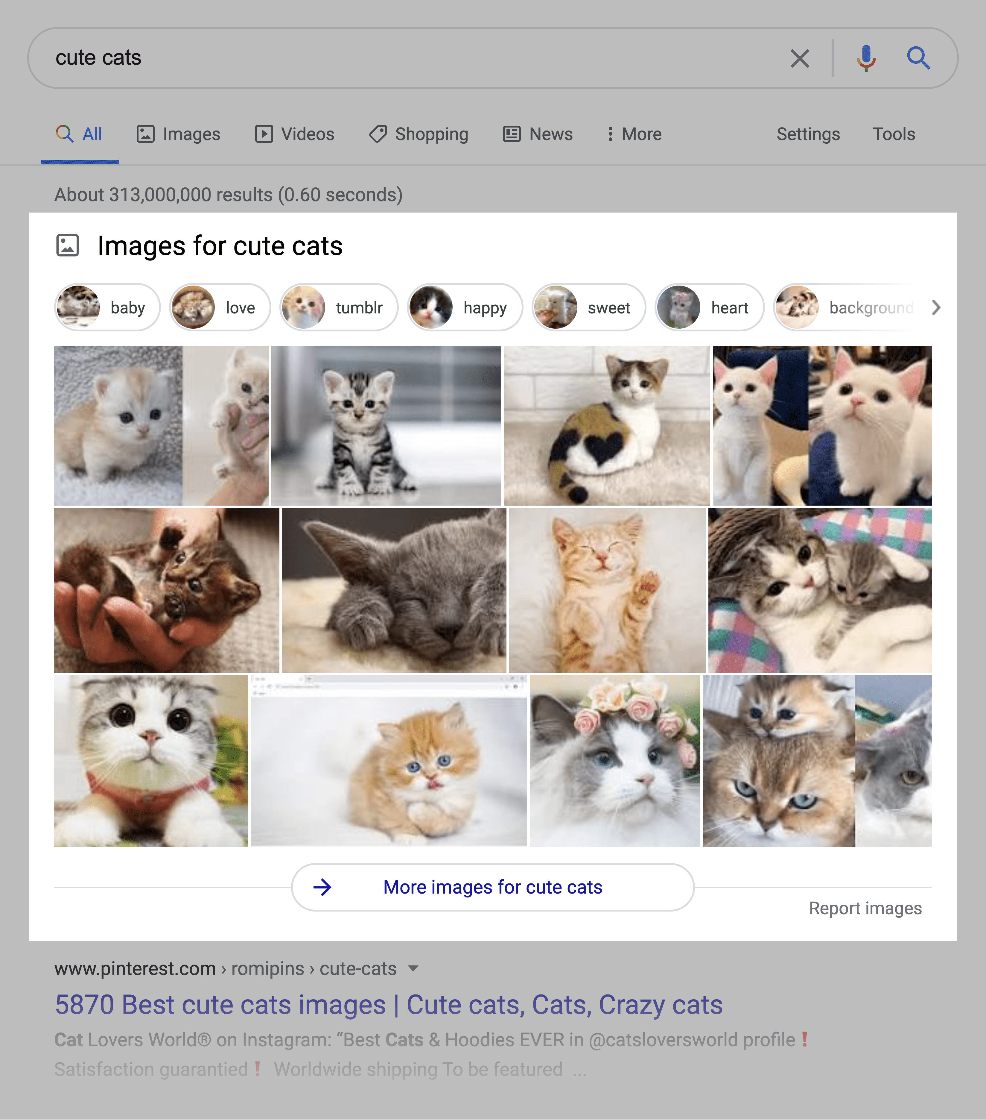 Cute Cats SERPs Image Pack