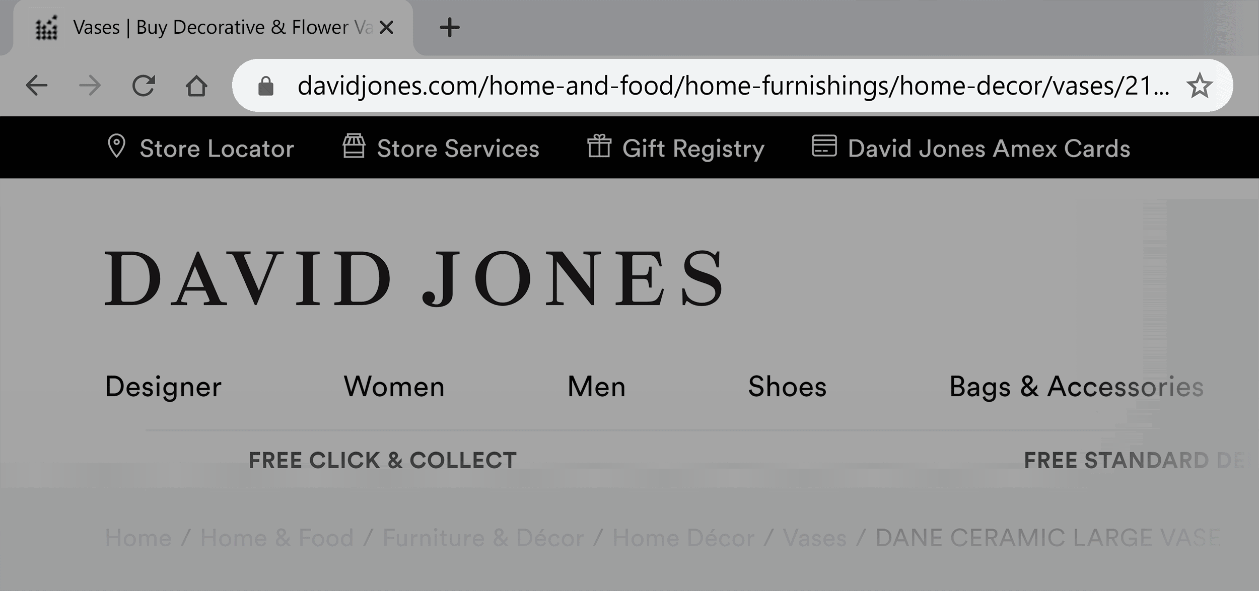 David Jones – Long URL example