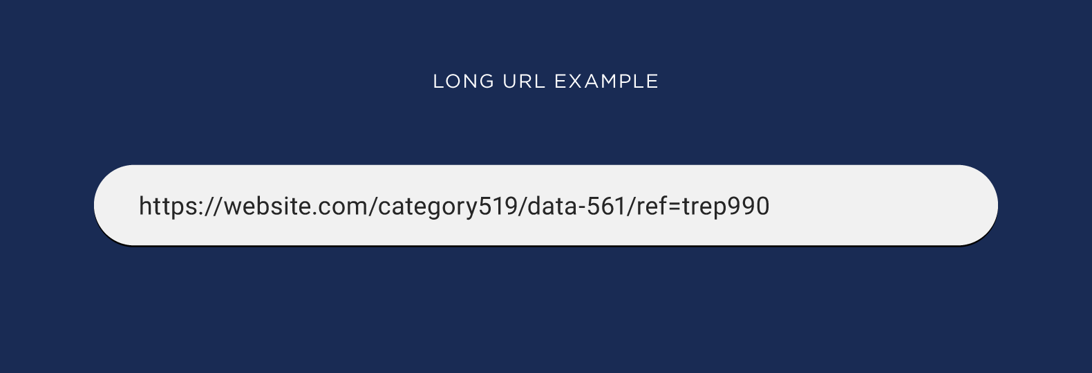 Long URL example