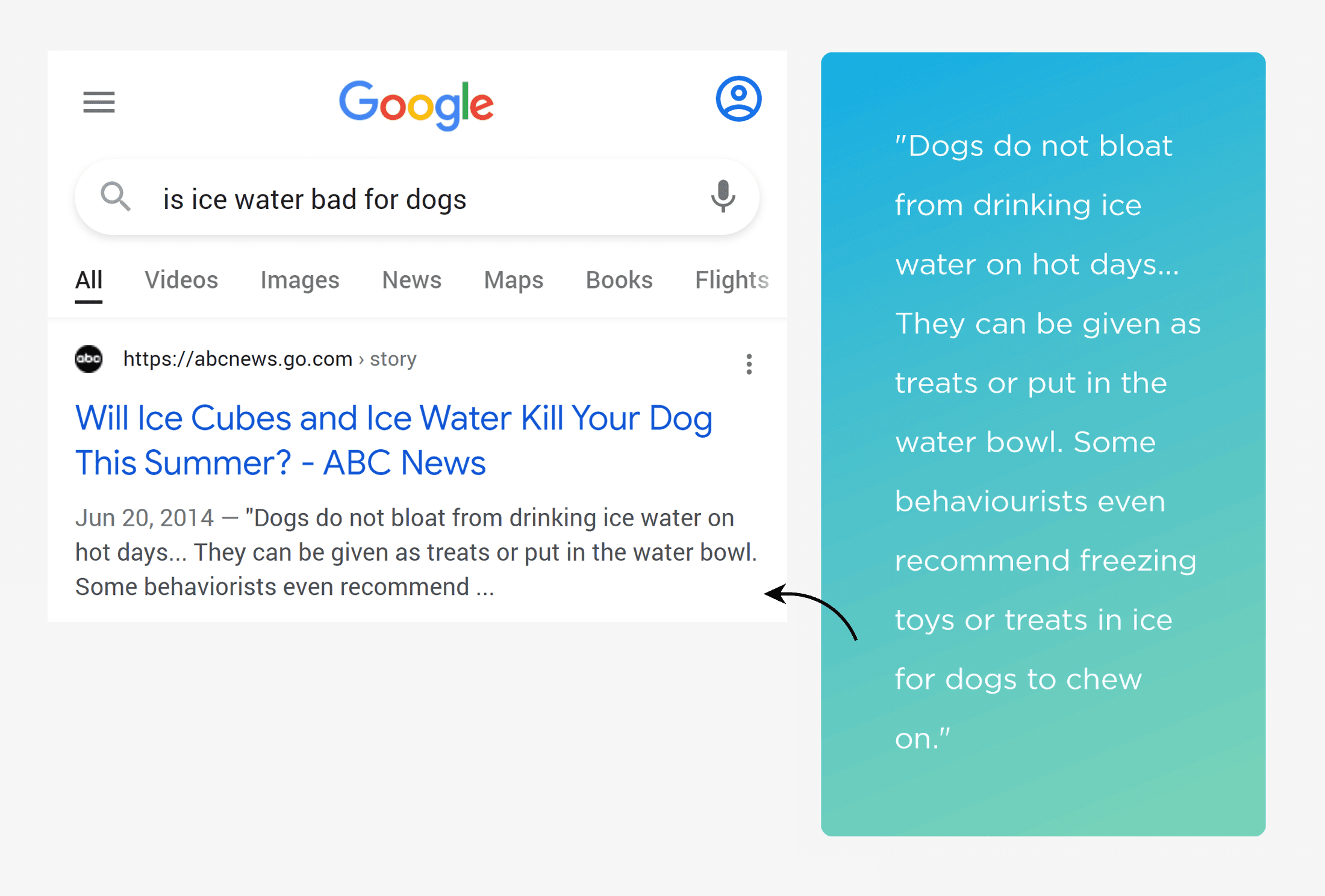 Voice search – Ice water for dogs